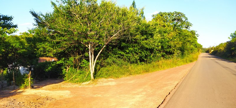 Ch�cara - Venda - Zona Rural - Alagoinhas - BA