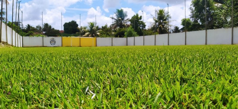 Im�vel Comercial - Venda - Santa Terezinha - Alagoinhas - BA