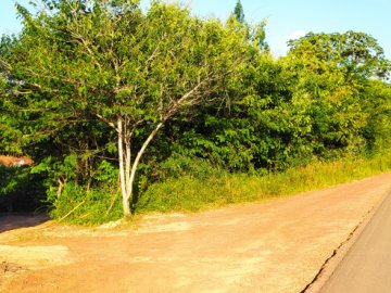 Ch�cara no Papagaio II, beira do Asfalto BA-504